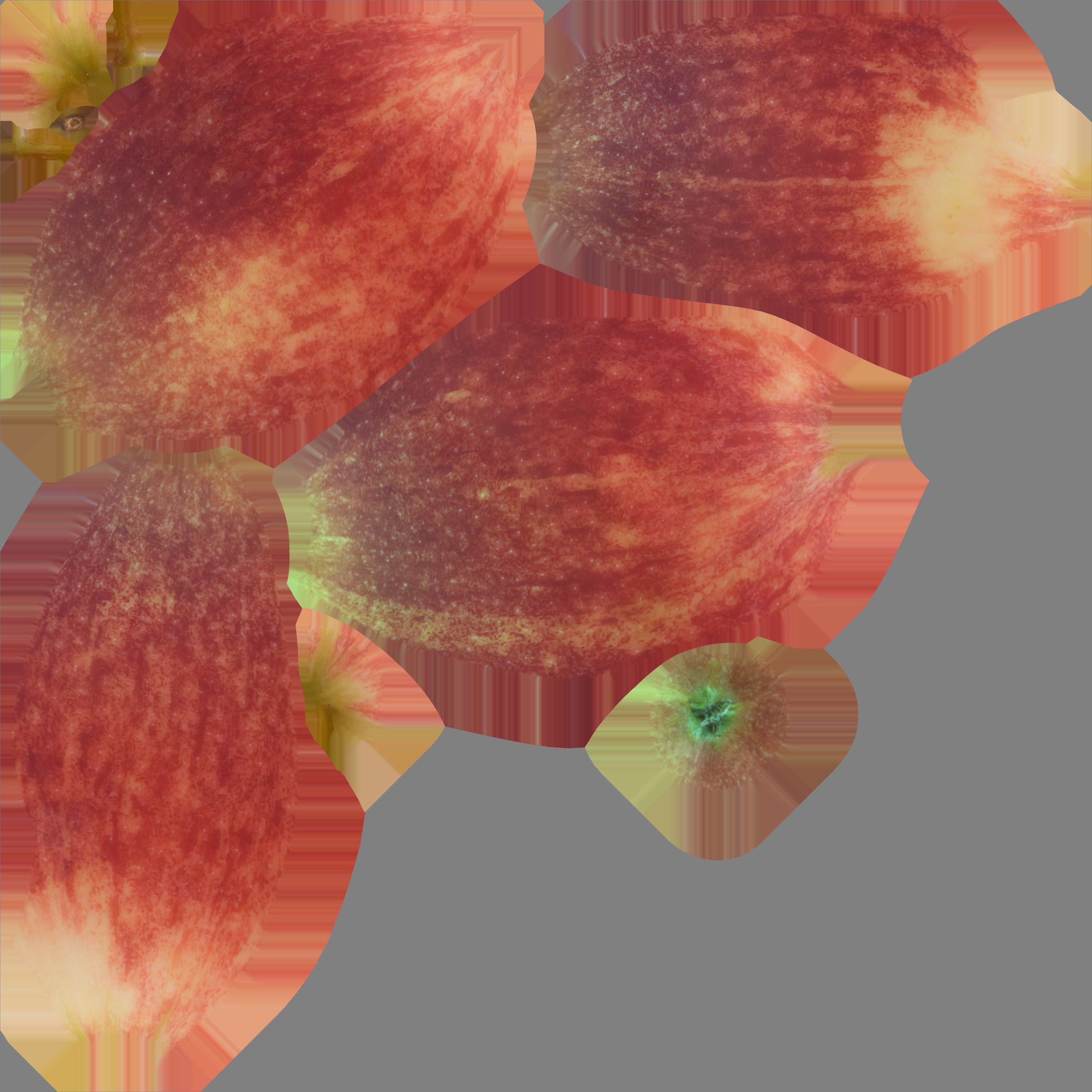 3D Scanned apple collection 01 Low-poly 3D model_12