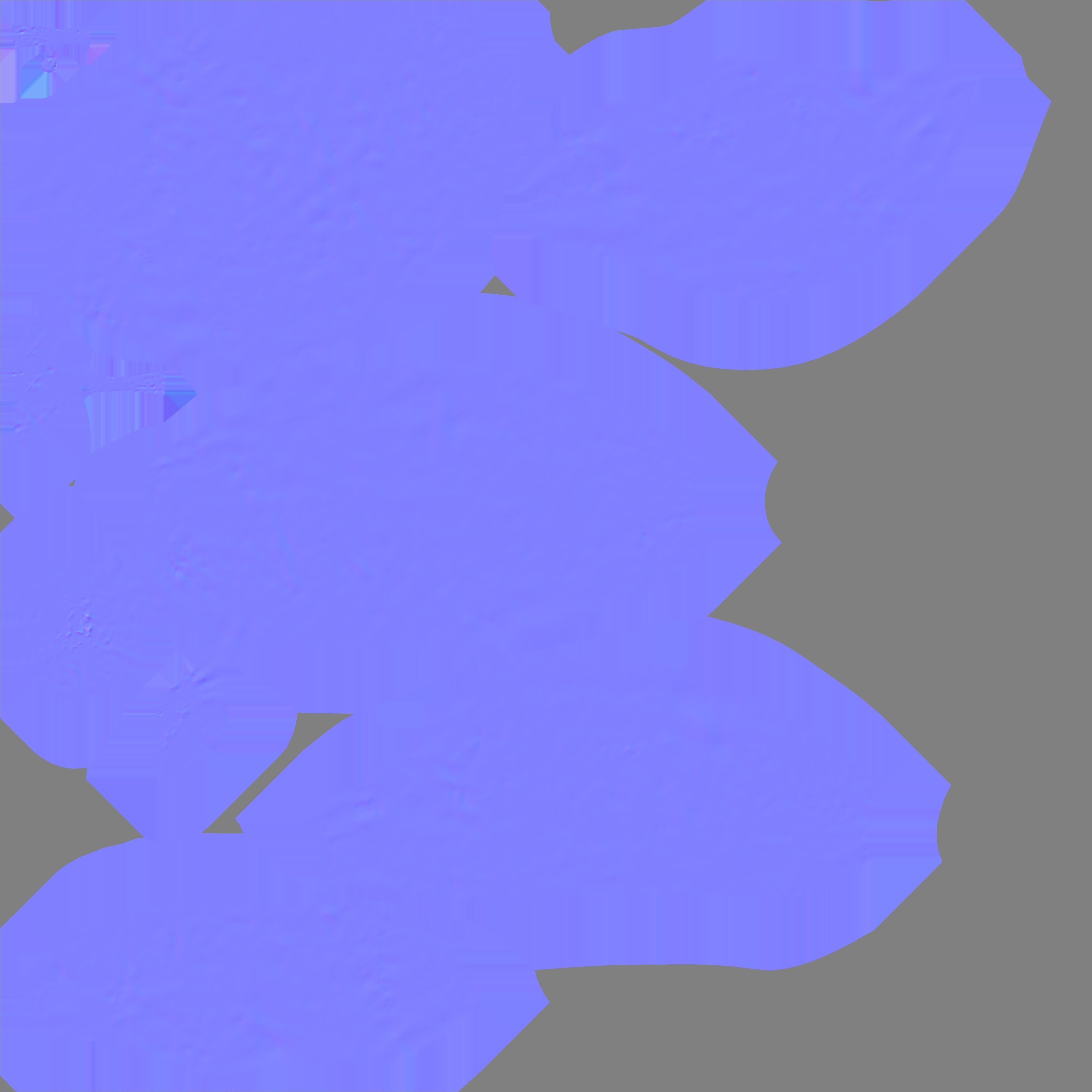 3D Scanned apple collection 01 Low-poly 3D model_11