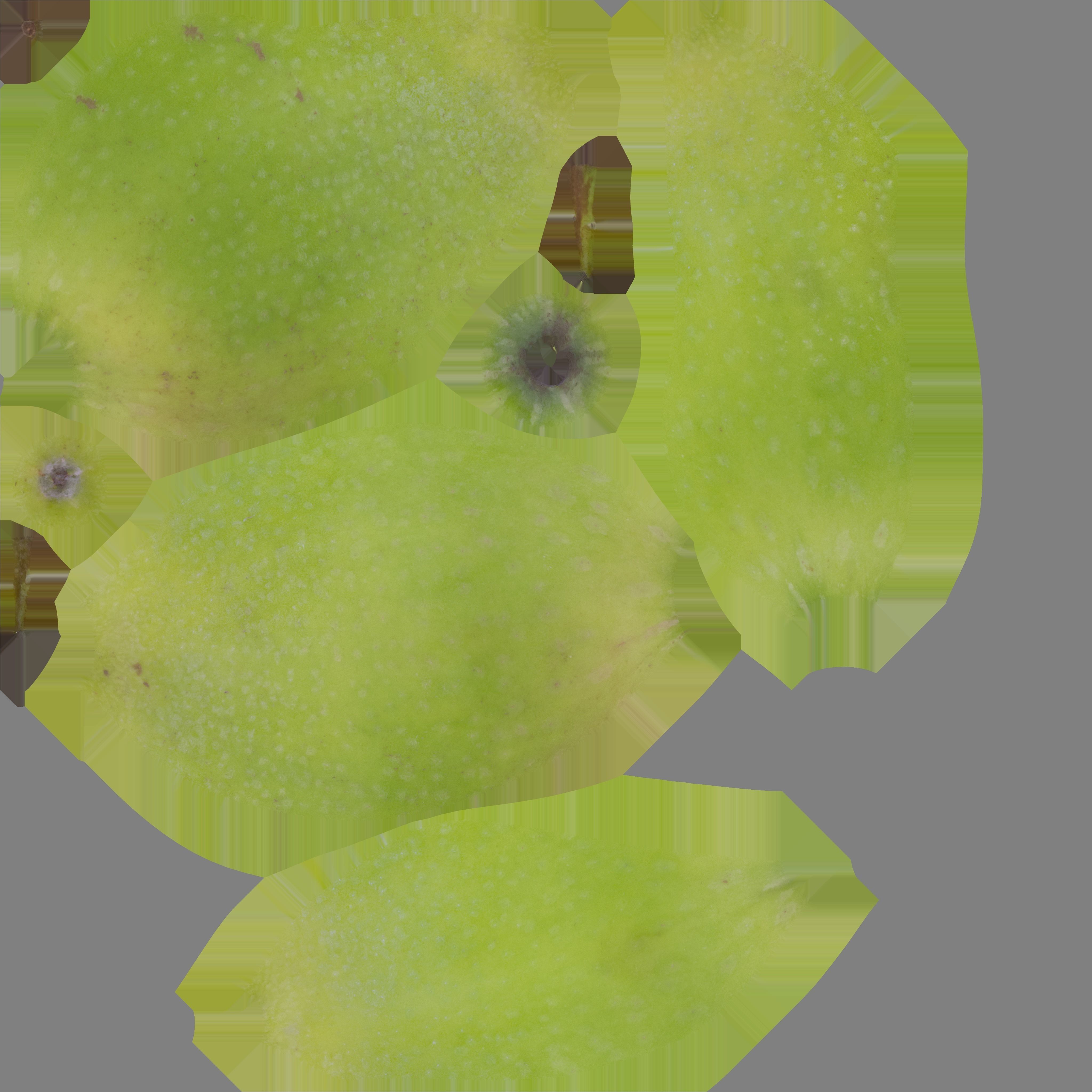 3D Scanned apple collection 01 Low-poly 3D model_9