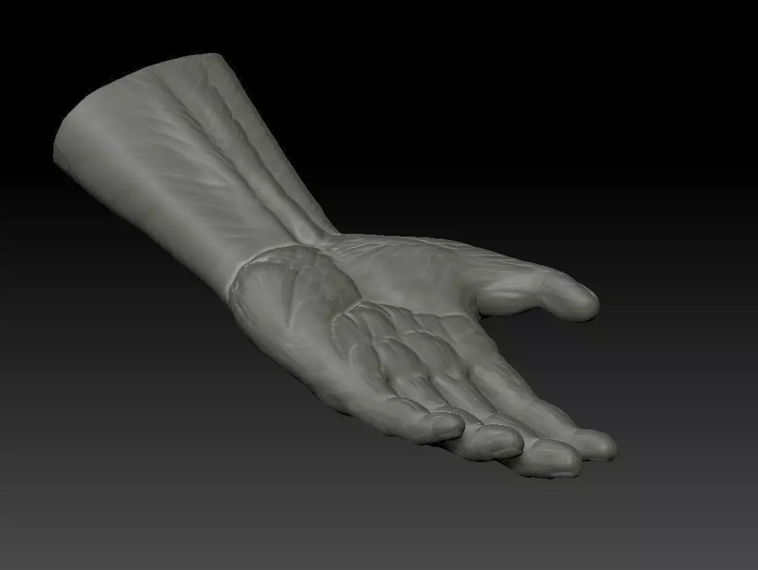 Simple Hand Sculpt Free 3D print model_0