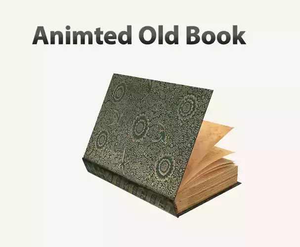 Old Book Rigged  3D model