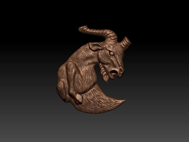 Zodiak 13 3D print model_2