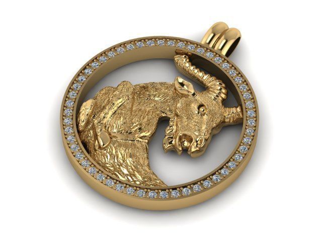 Zodiak 13 3D print model_1