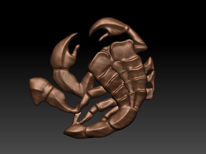 Zodiak 14 3D print model_2