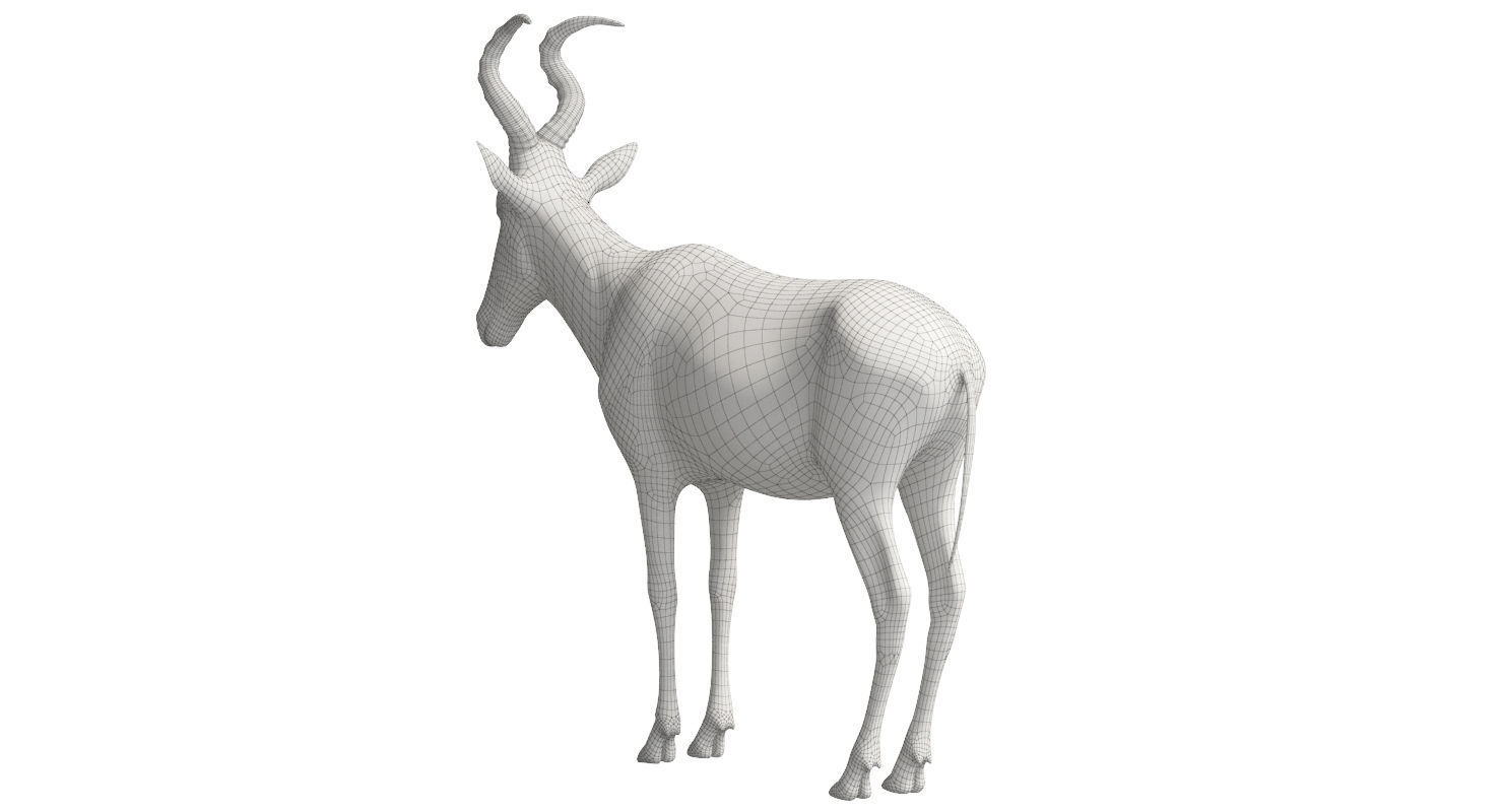 RED HARTEBEEST 3D model_11