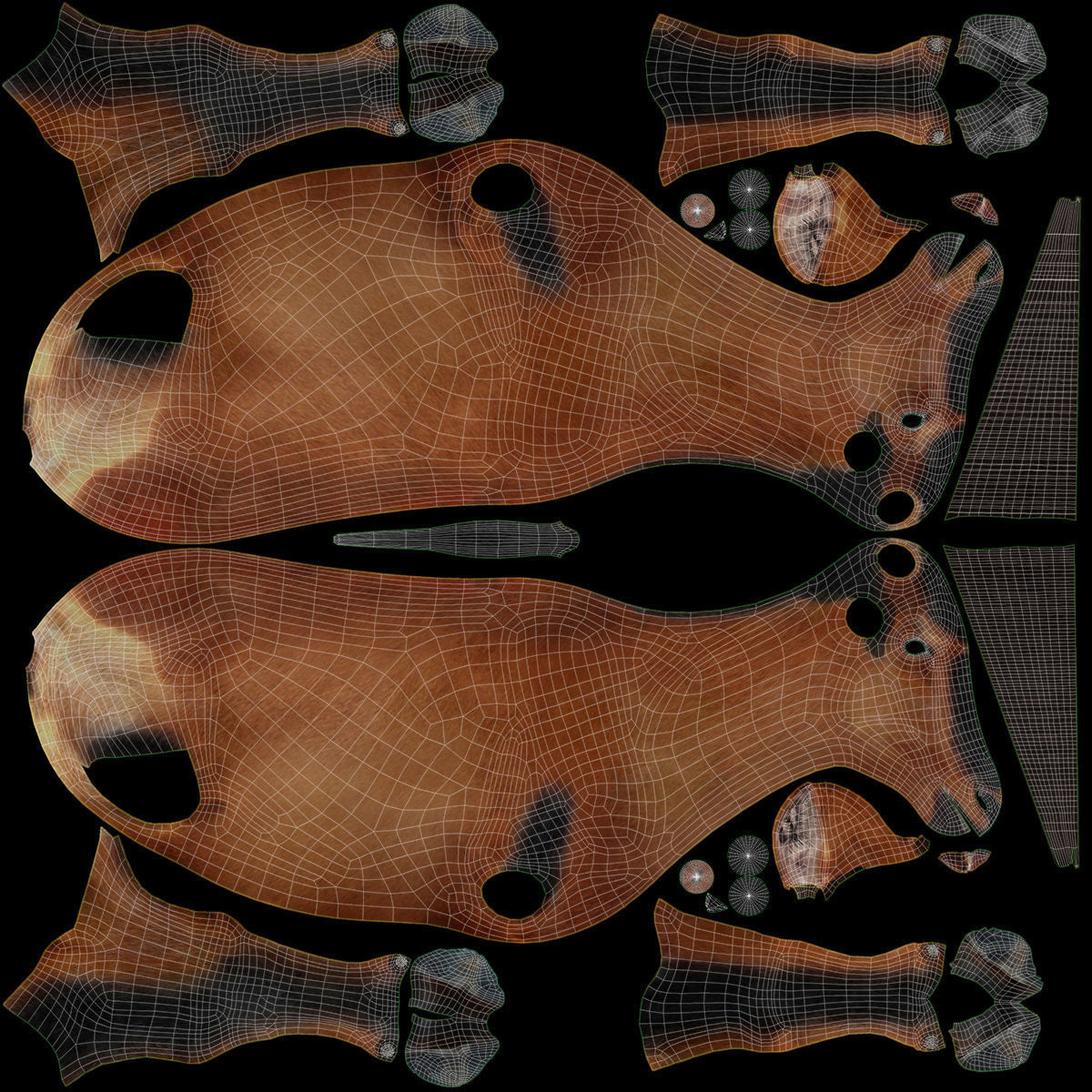 RED HARTEBEEST 3D model_10