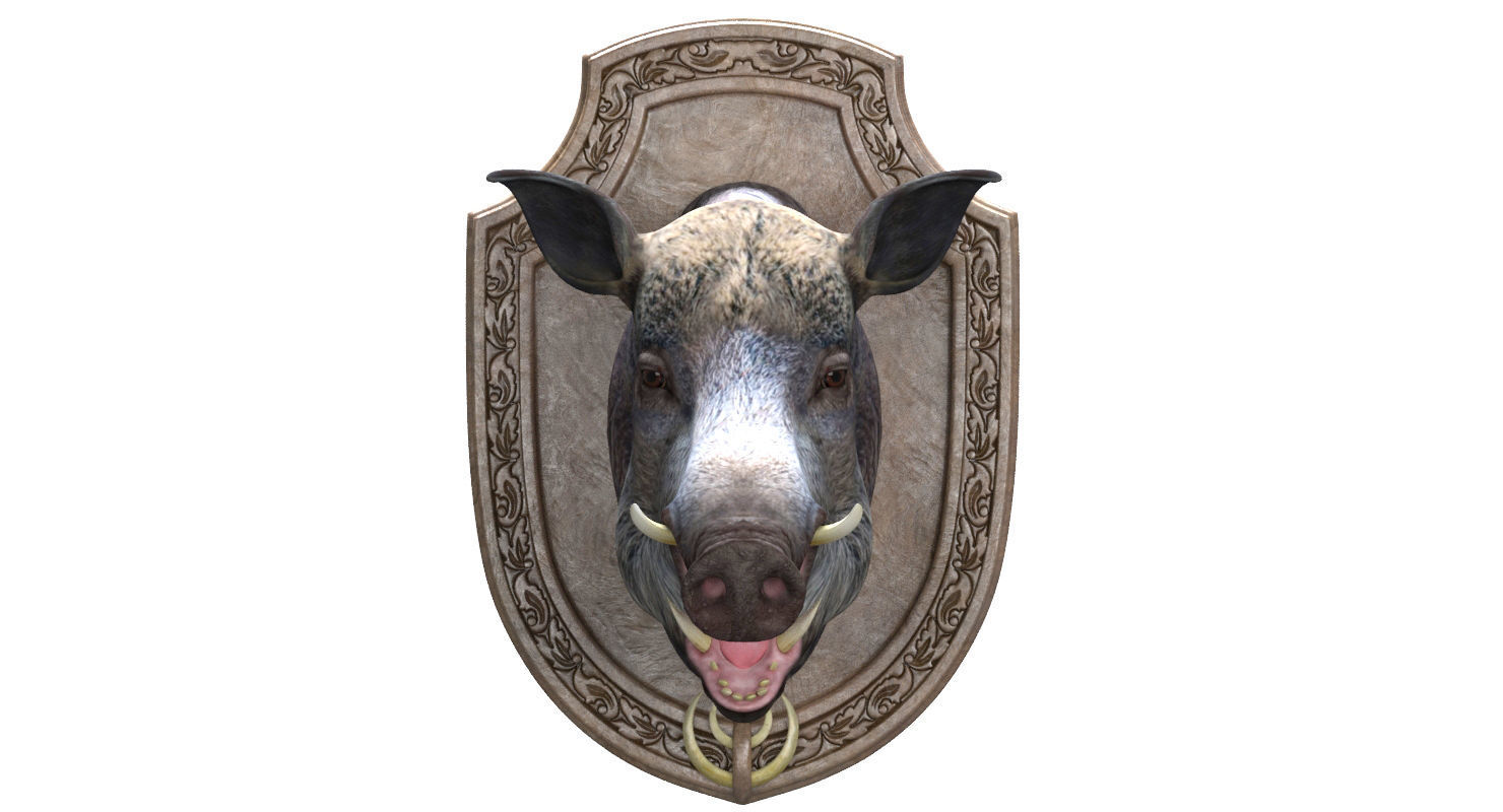 Wild boar head trophy 3D model_10