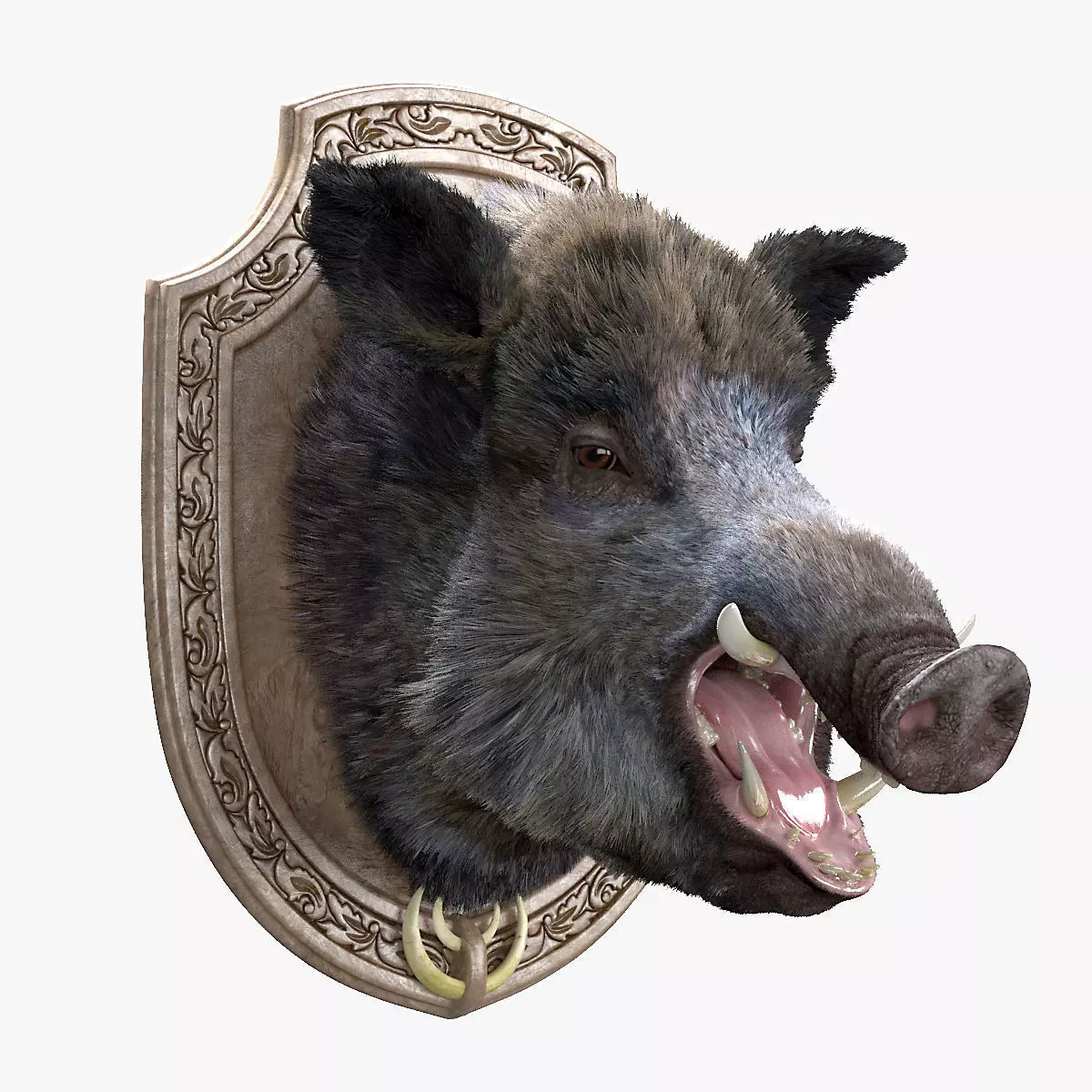 Wild boar head trophy 3D model_0