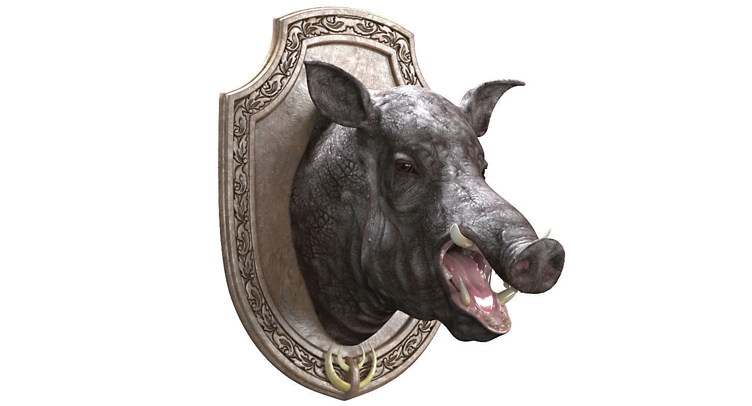 Wild boar head trophy 3D model_8