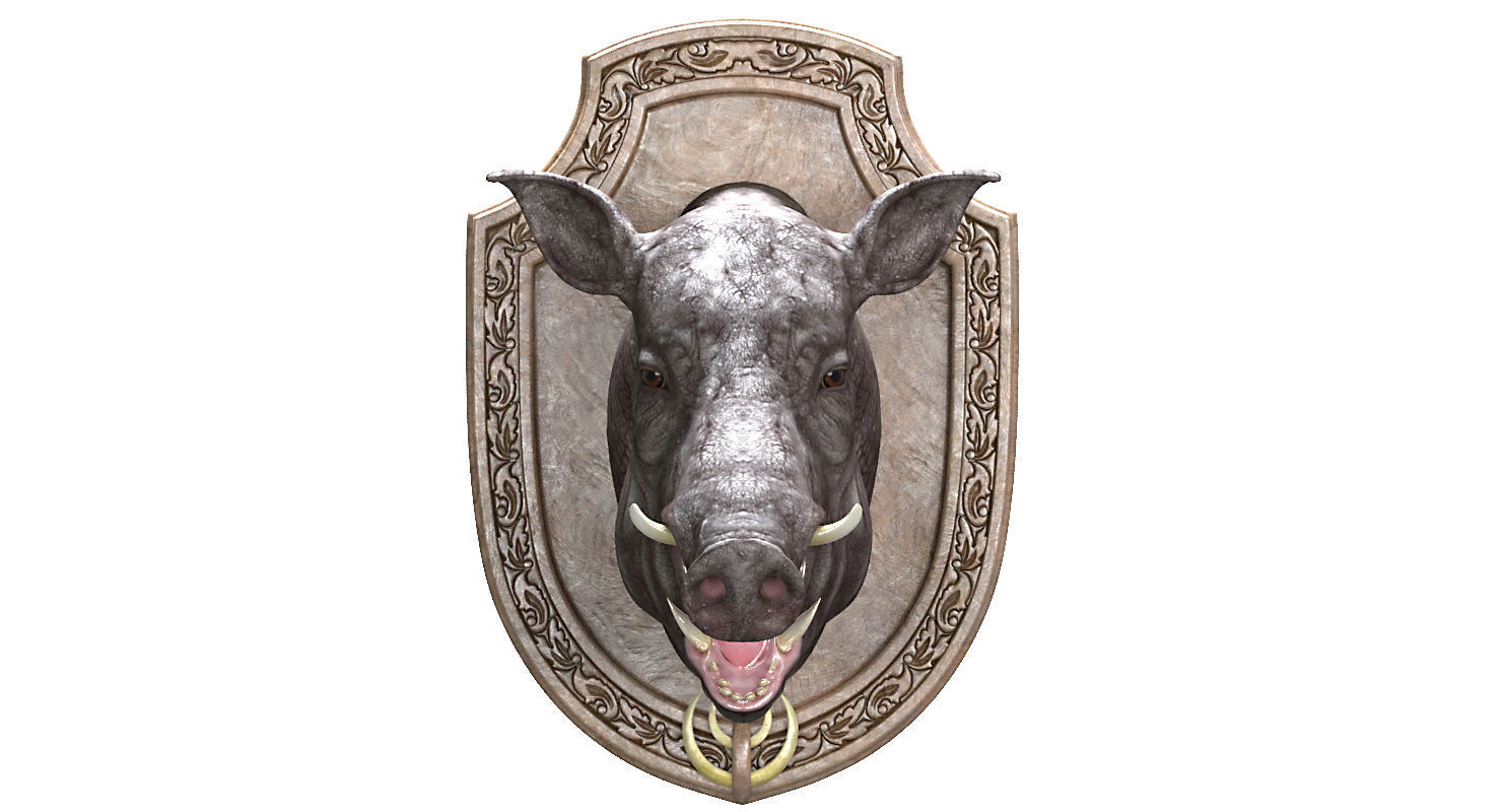 Wild boar head trophy 3D model_7