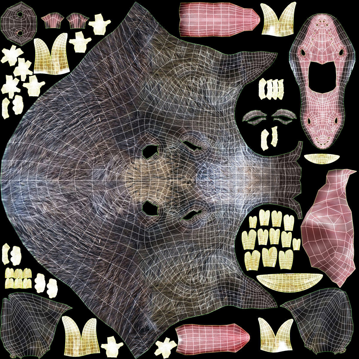 Wild boar head trophy 3D model_13