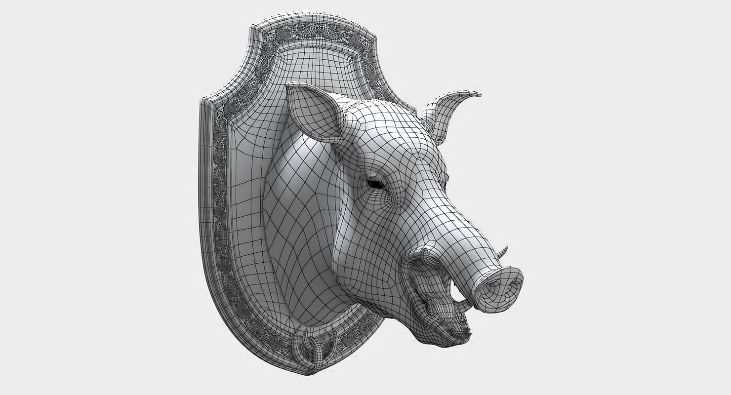 Wild boar head trophy 3D model_15