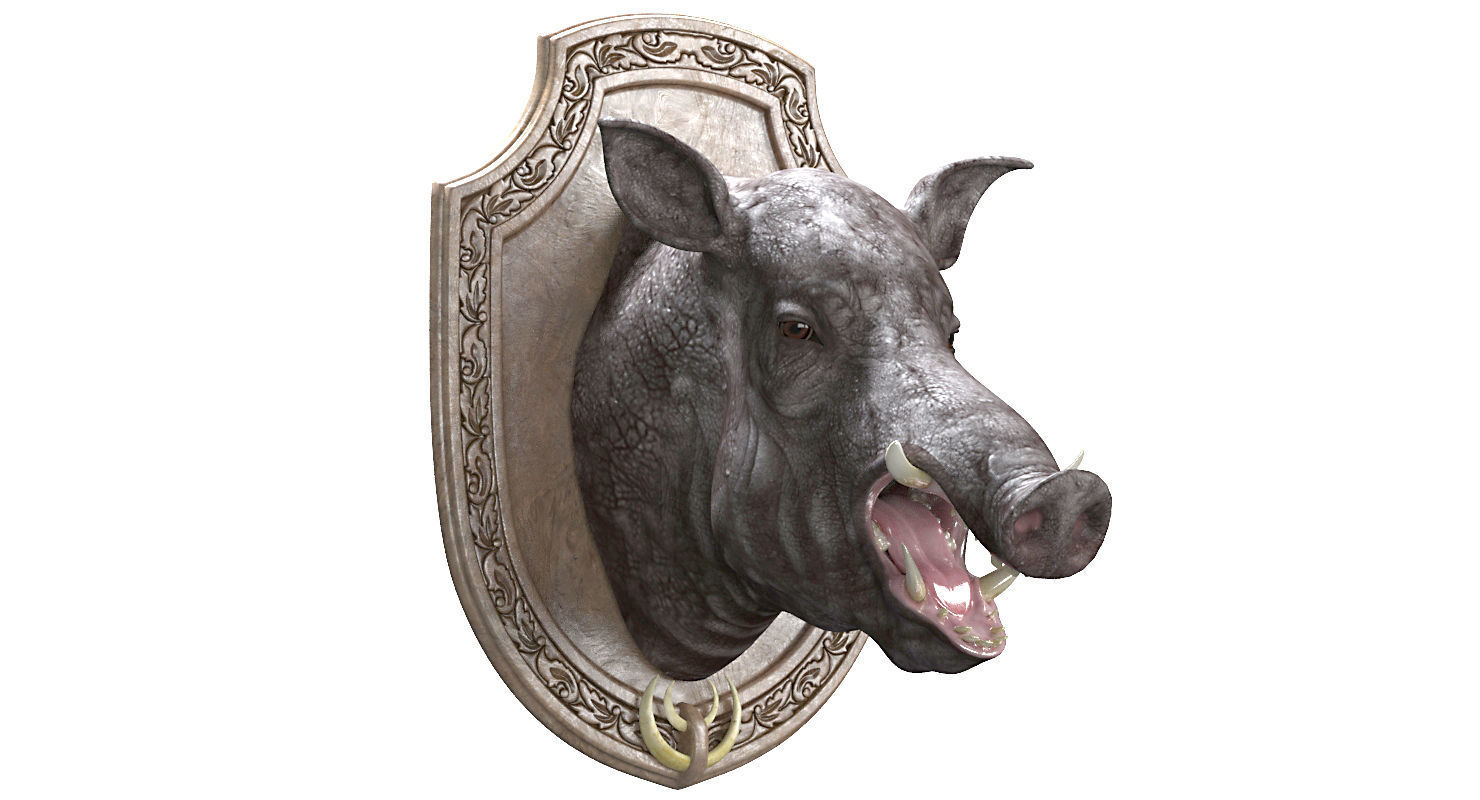 Wild boar head trophy 3D model_12