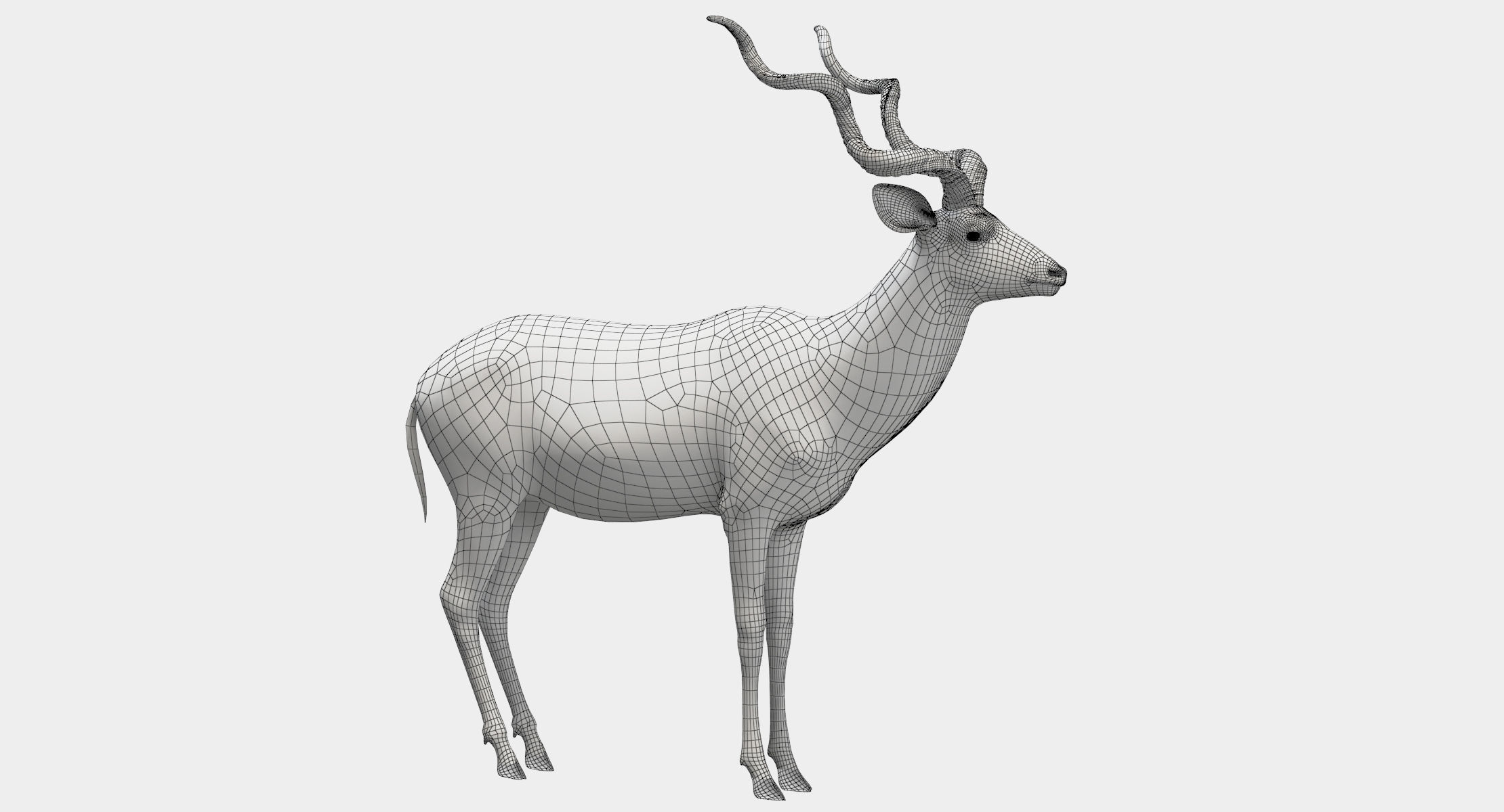 Kudu Antelope model 3D model_14