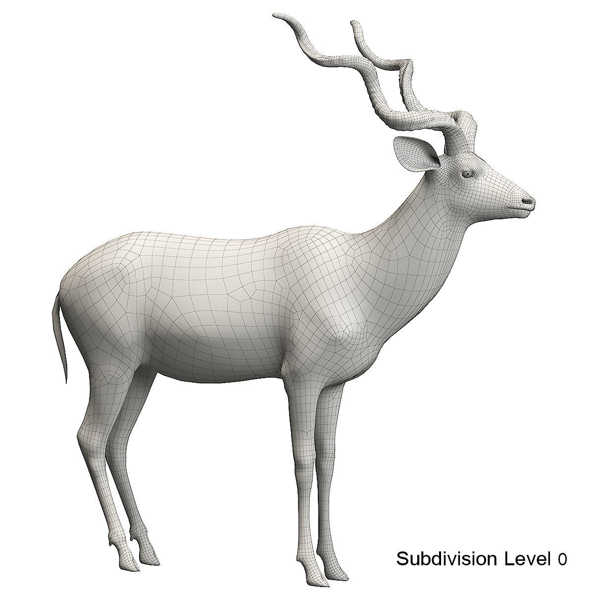 Kudu Antelope model 3D model_17
