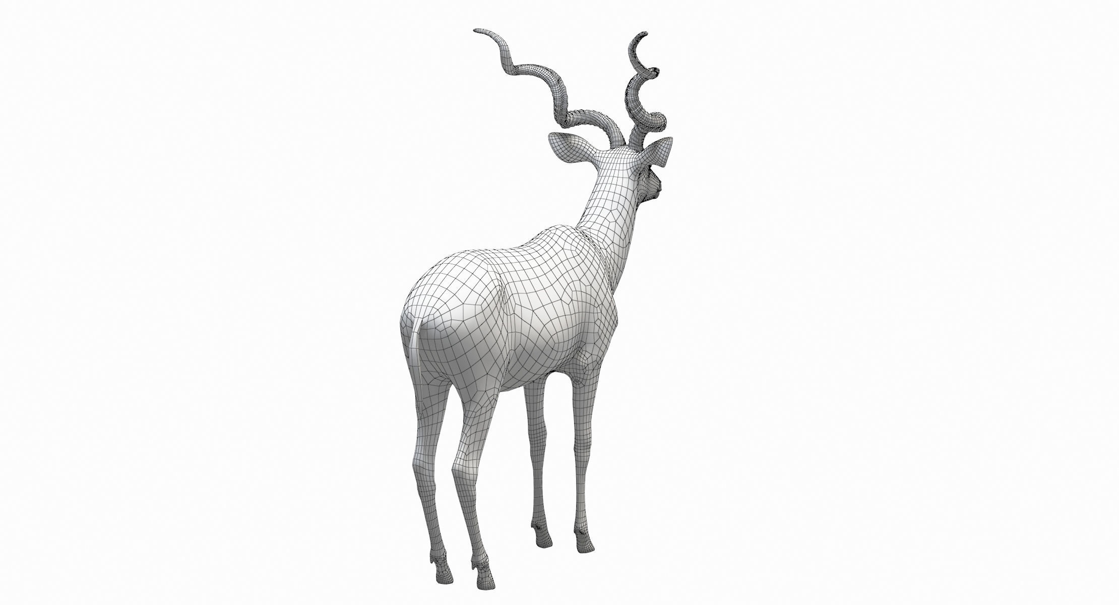 Kudu Antelope model 3D model_15