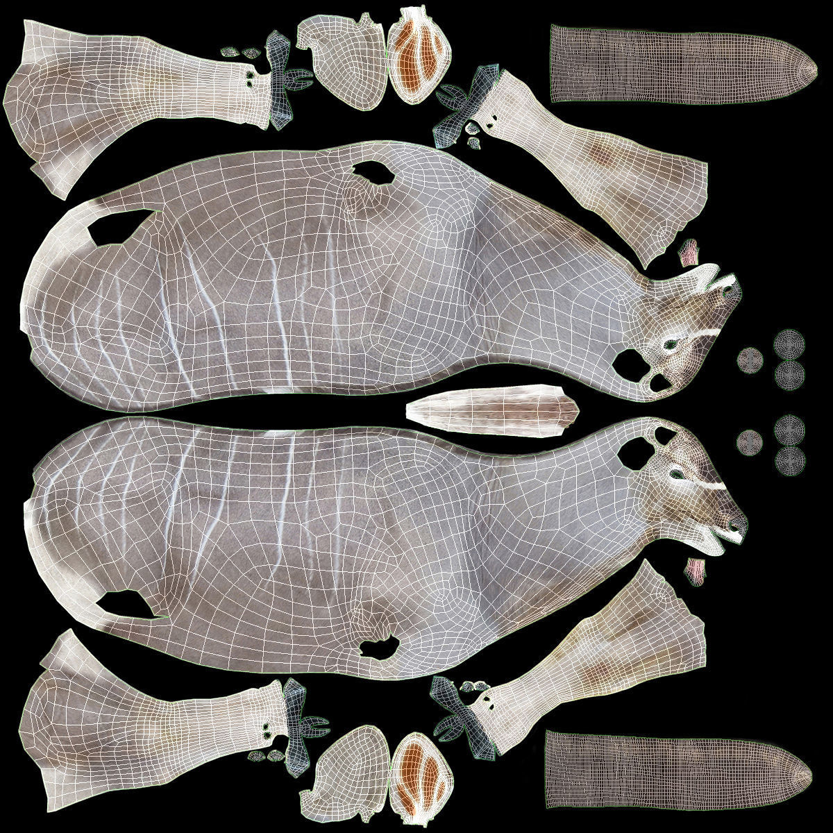 Kudu Antelope model 3D model_13