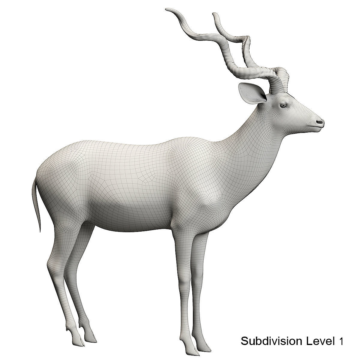 Kudu Antelope model 3D model_18