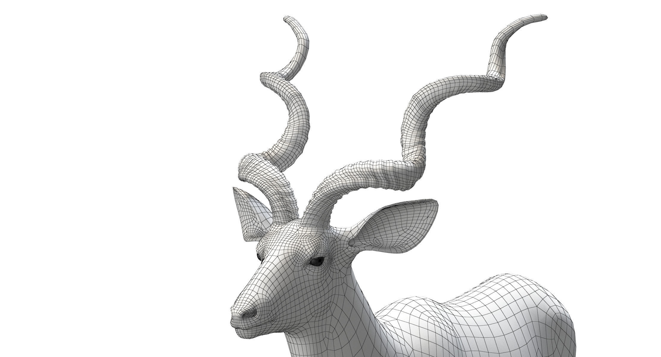 Kudu Antelope model 3D model_16