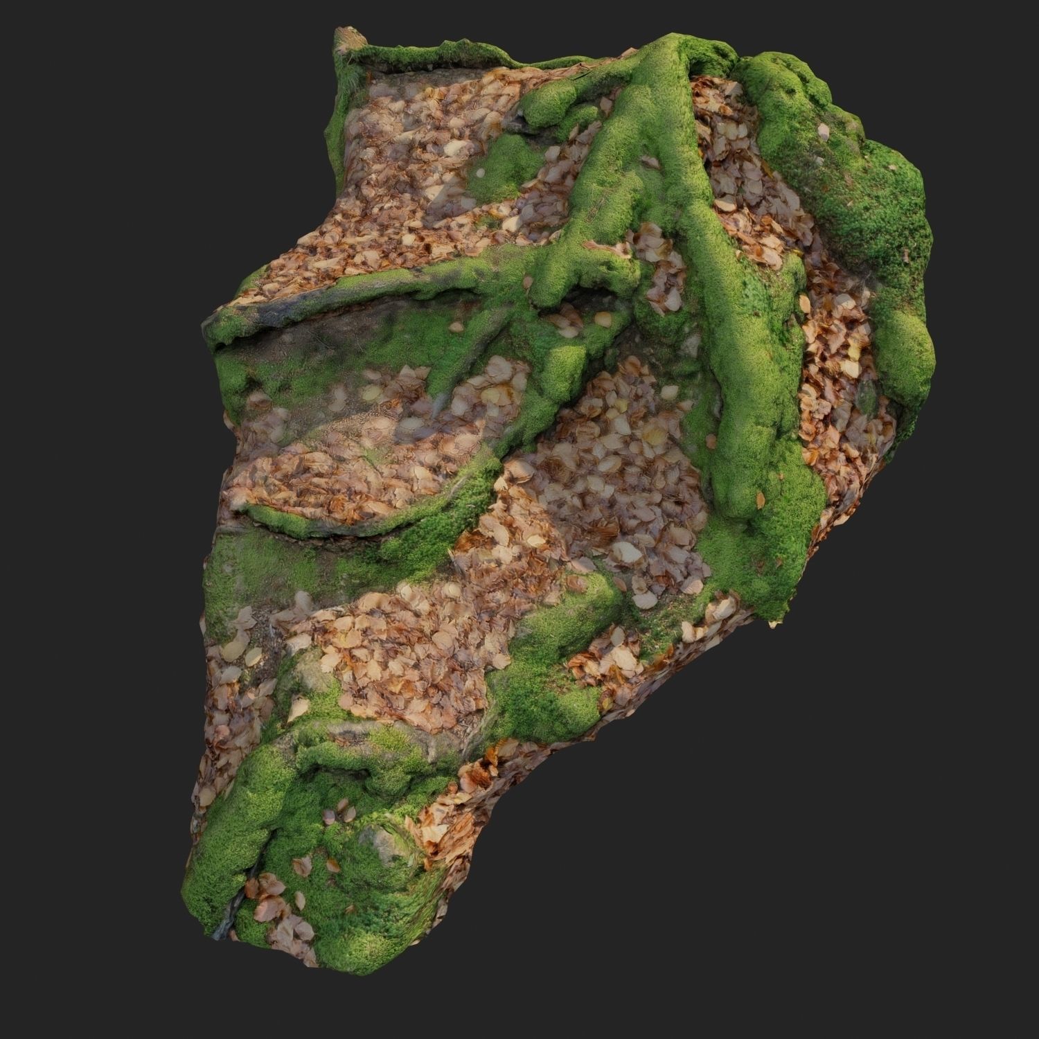 3d scanned nature forest stuff 011 Low-poly 3D model_1