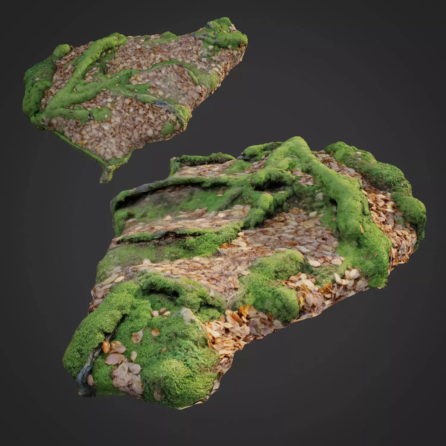 3d scanned nature forest stuff 011 Low-poly 3D model_0