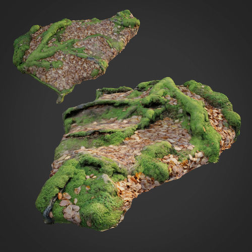 3d scanned nature forest stuff 011 Low-poly 3D model