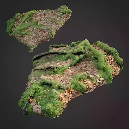 3d scanned nature forest stuff 011