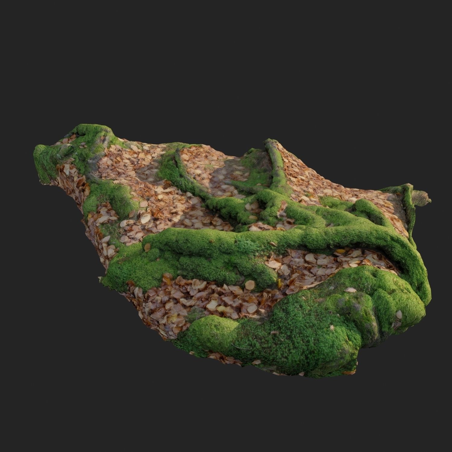 3d scanned nature forest stuff 011 Low-poly 3D model_2