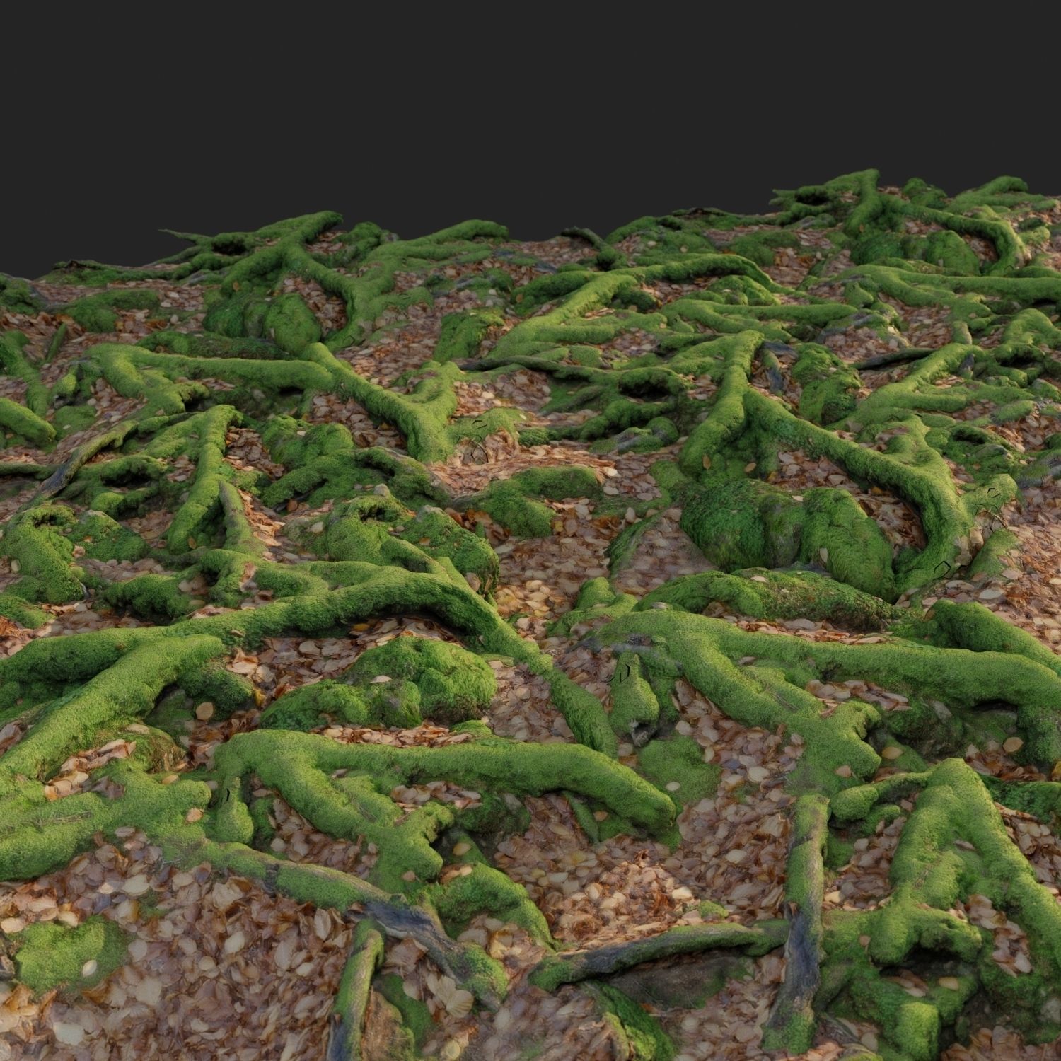 3d scanned nature forest stuff 011 Low-poly 3D model_3