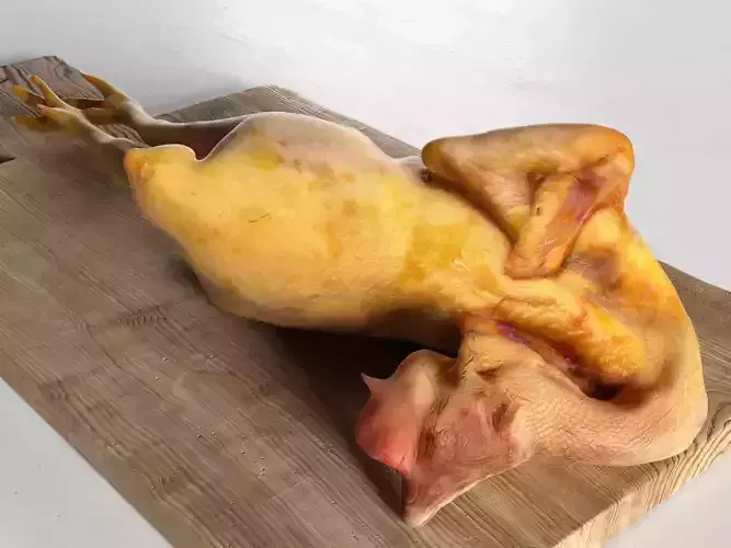 Meat 4 chicken on wooden cutting board