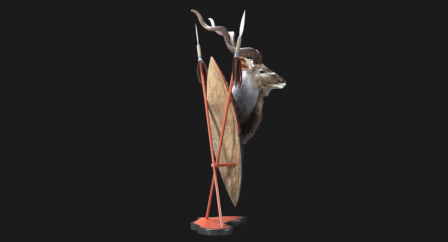 Kudu Trophy 3D model_7