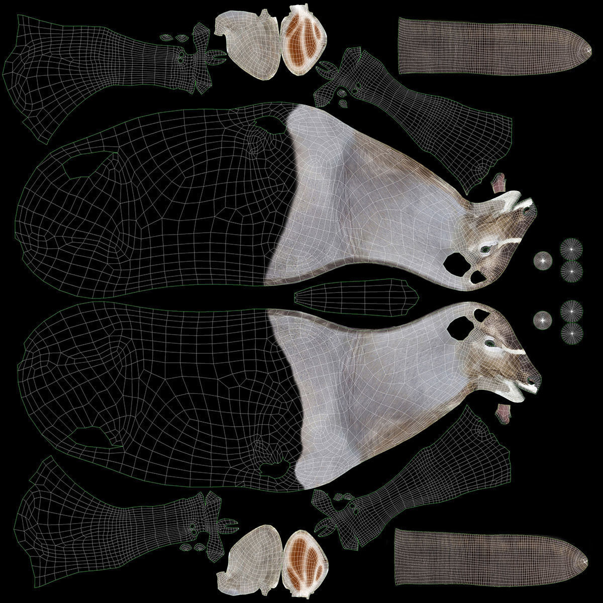 Kudu Trophy 3D model_8