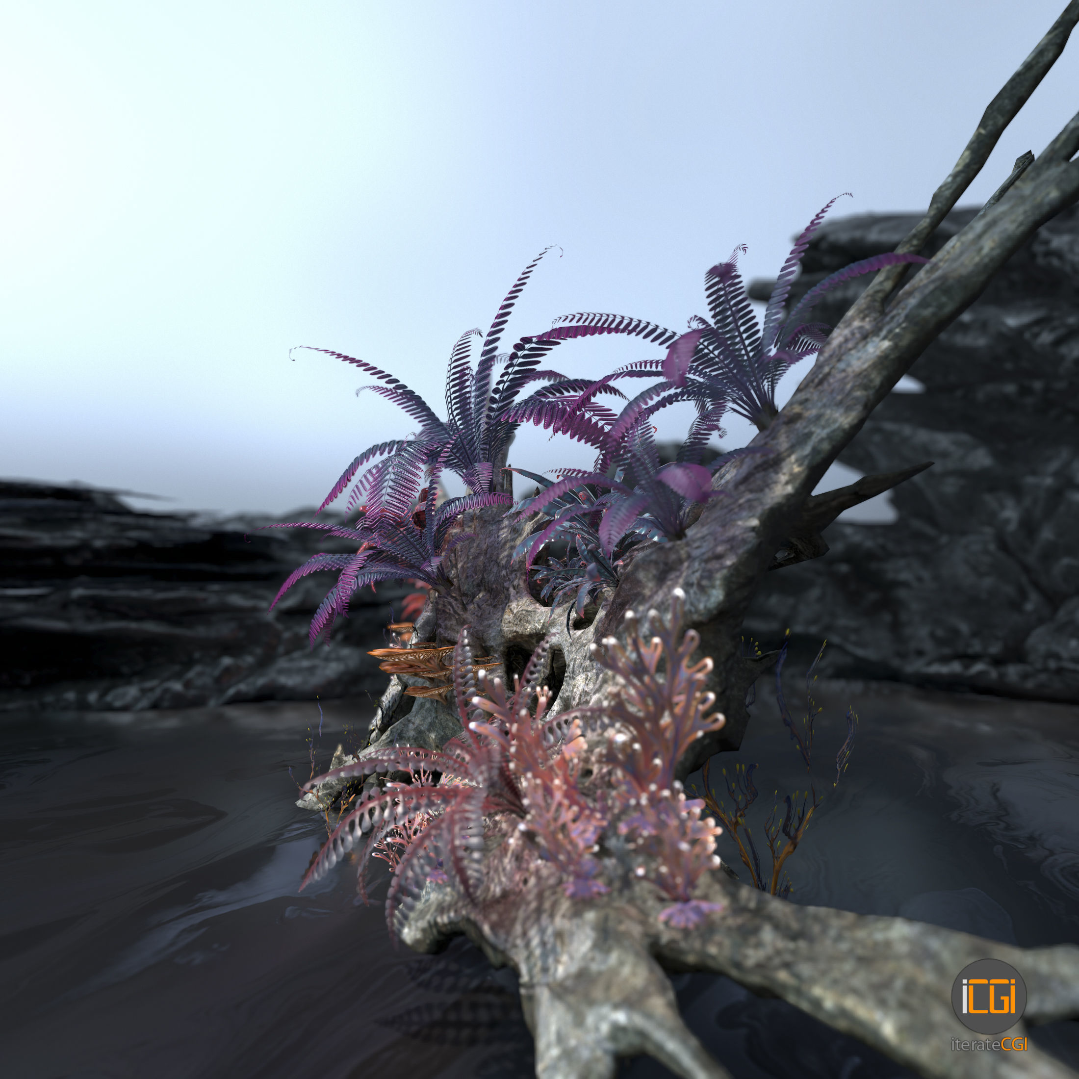 Alien Vegetation collection 1 Low-poly 3D model_5