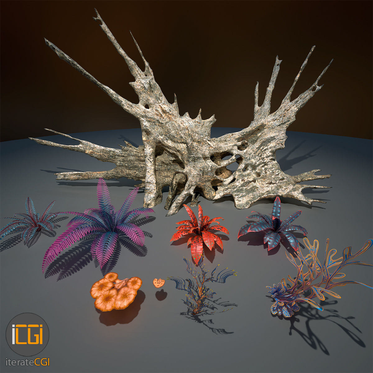 Alien Vegetation collection 1 Low-poly 3D model_57