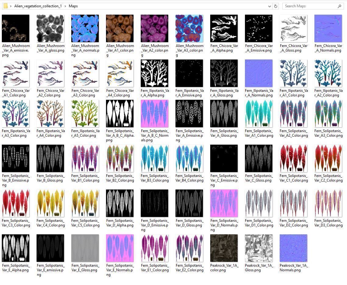 Alien Vegetation collection 1 Low-poly 3D model_61