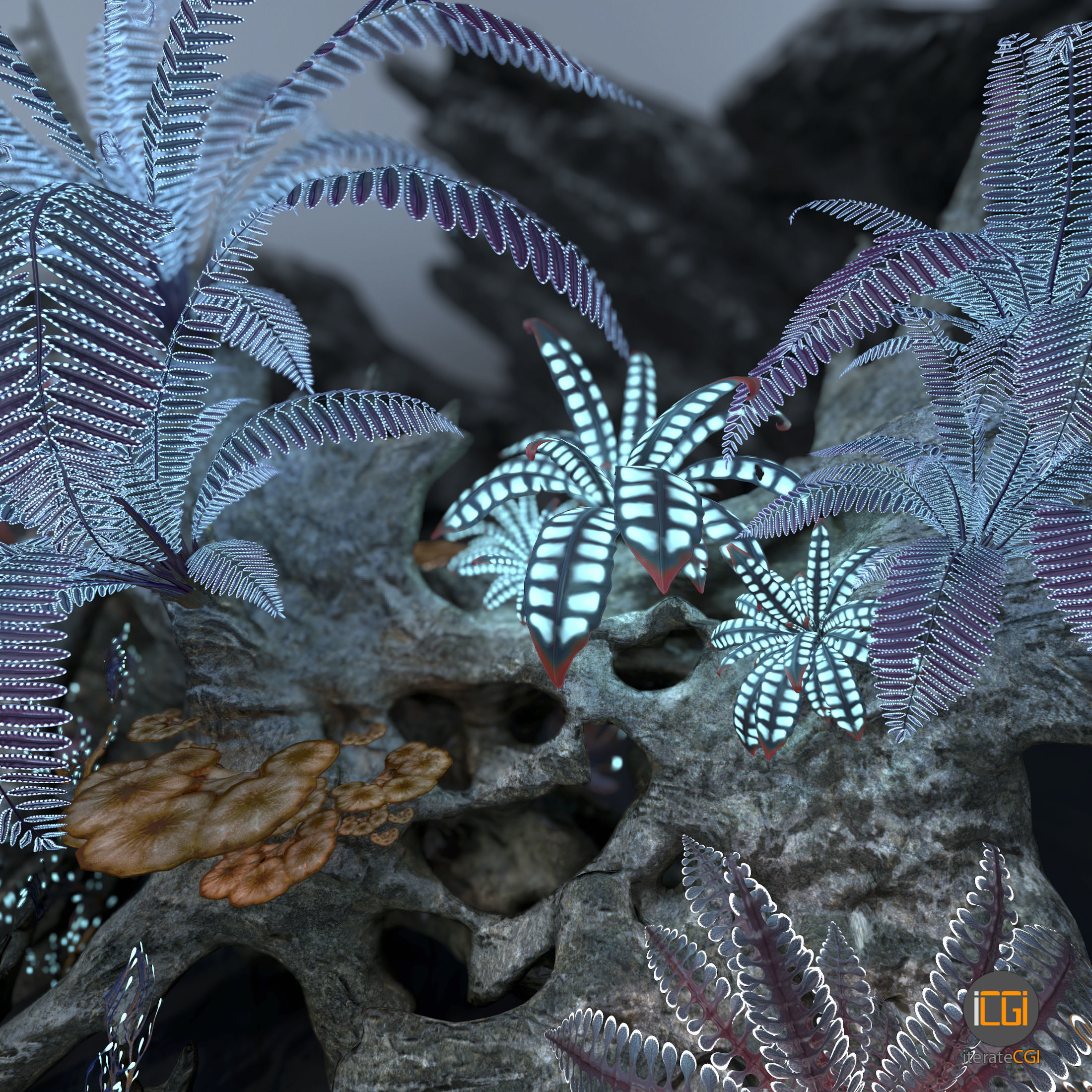 Alien Vegetation collection 1 Low-poly 3D model_49