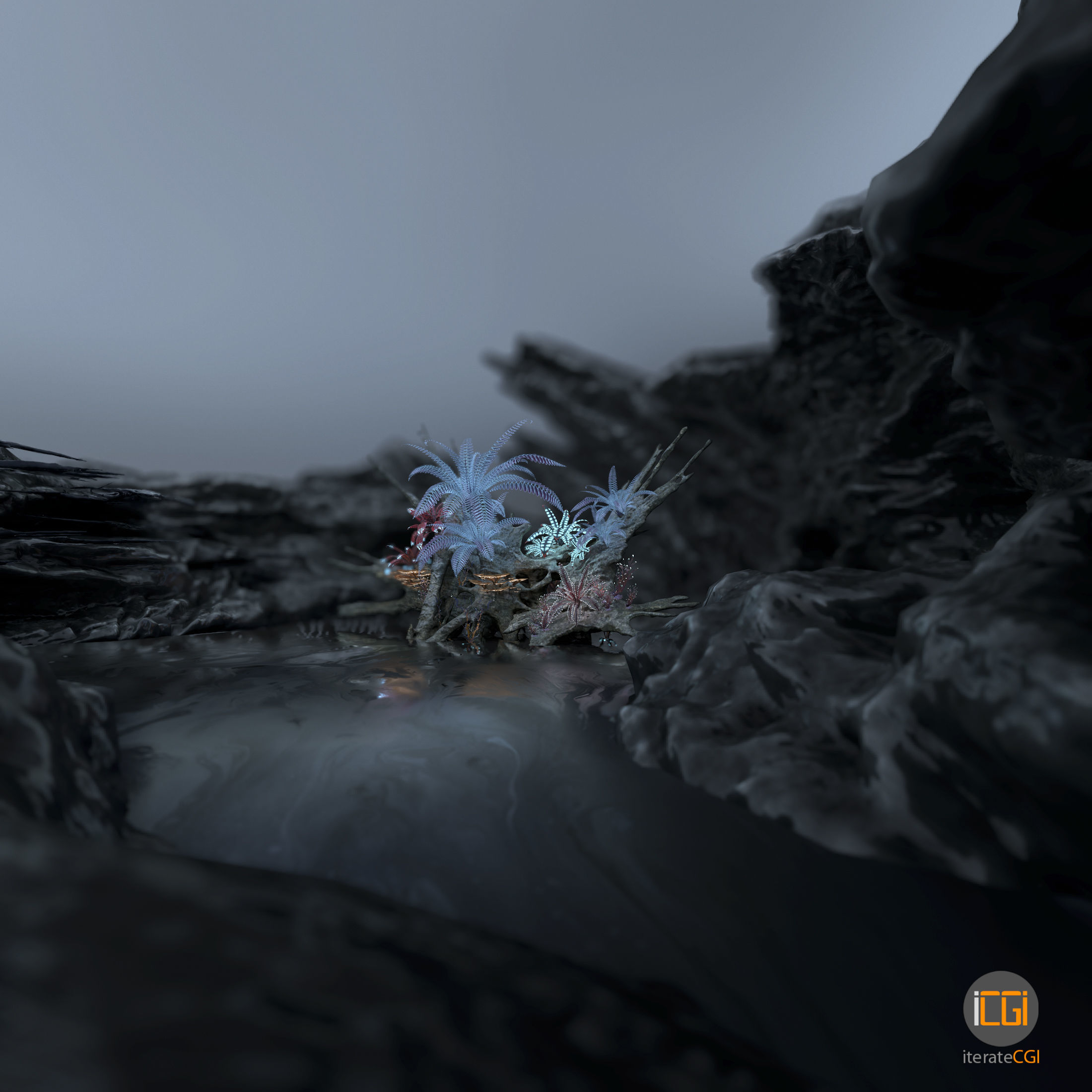 Alien Vegetation collection 1 Low-poly 3D model_48