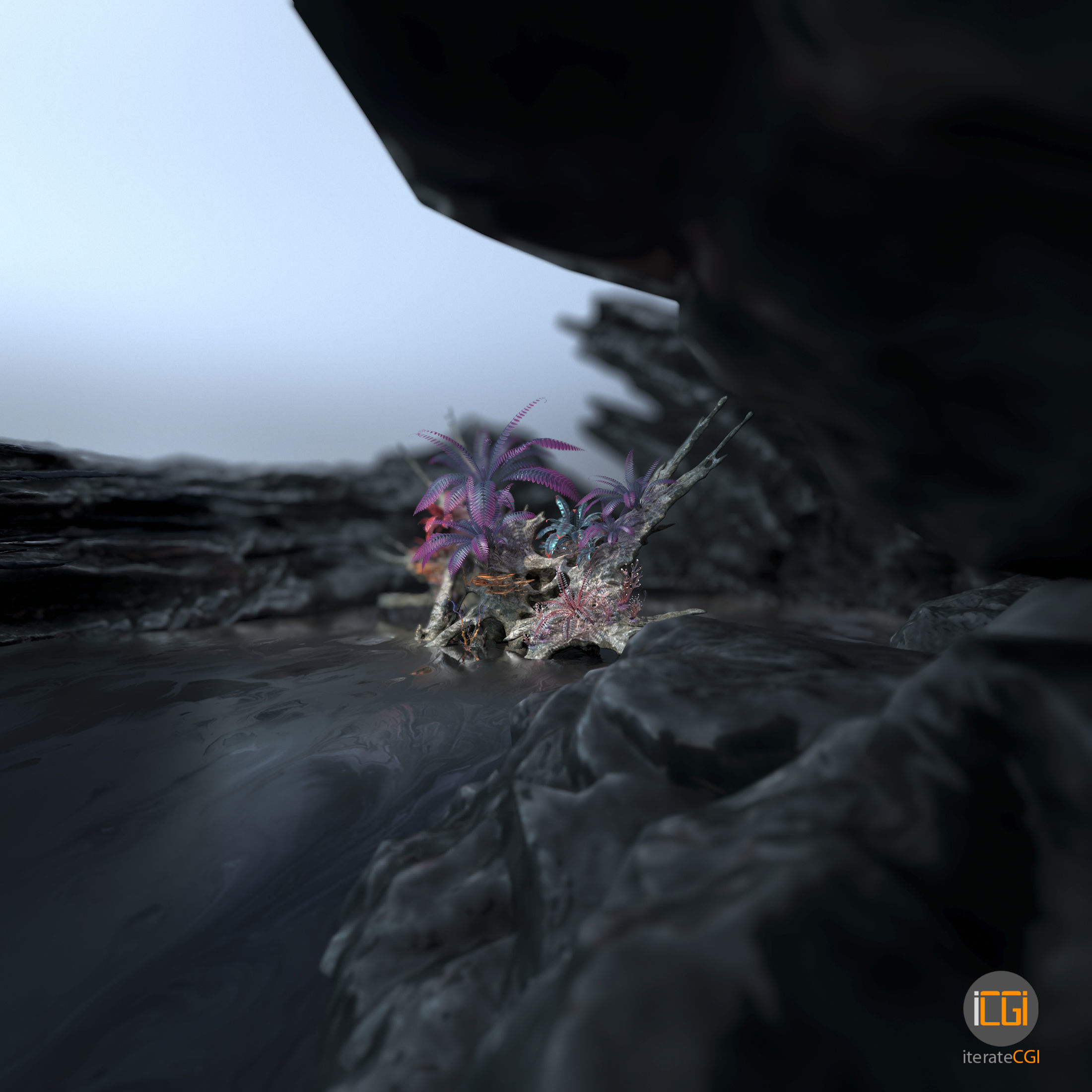 Alien Vegetation collection 1 Low-poly 3D model_35