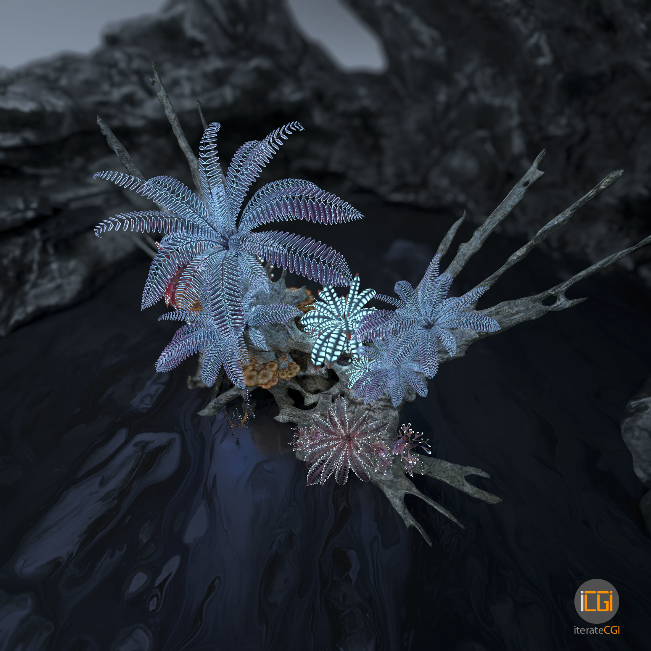 Alien Vegetation collection 1 Low-poly 3D model_45