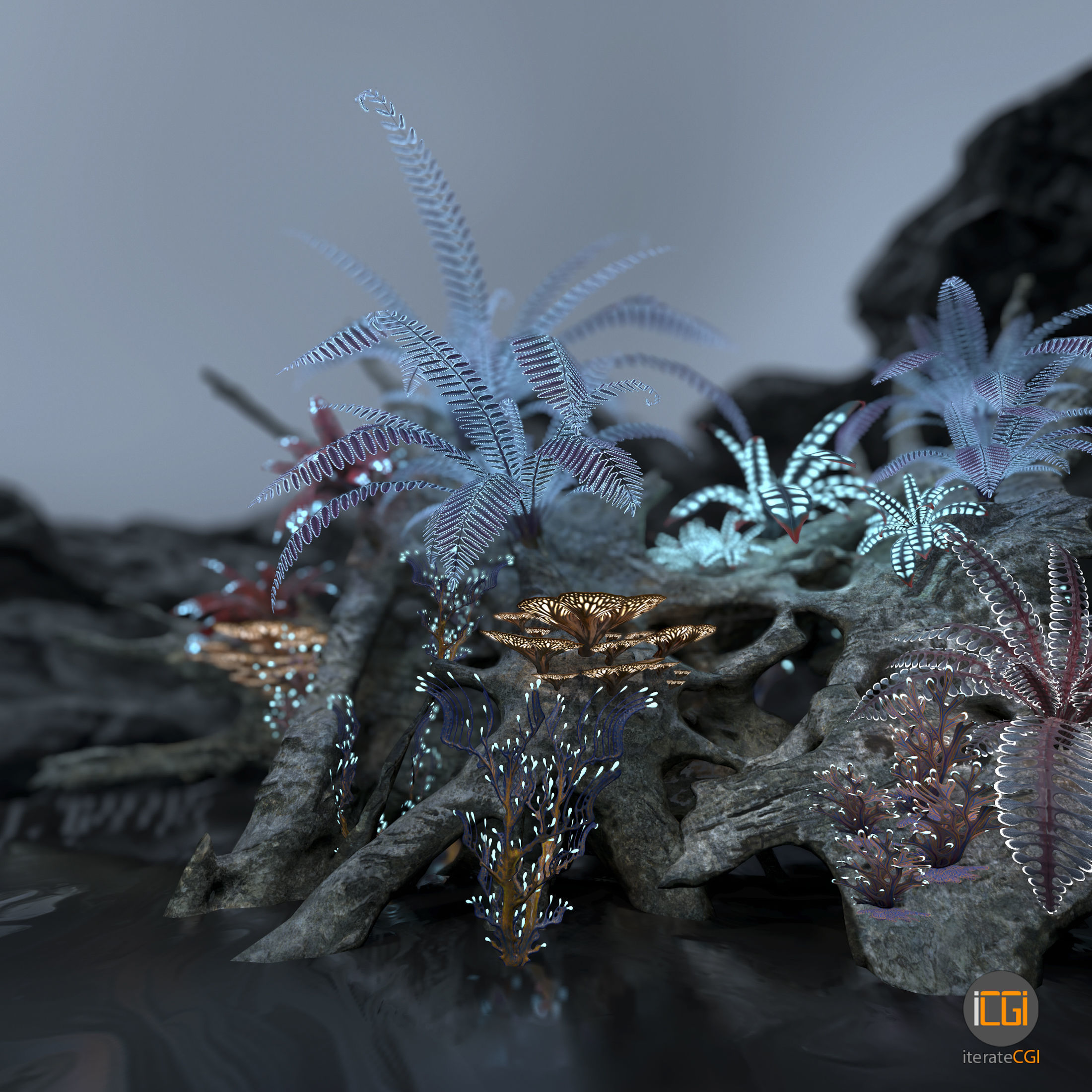 Alien Vegetation collection 1 Low-poly 3D model_42