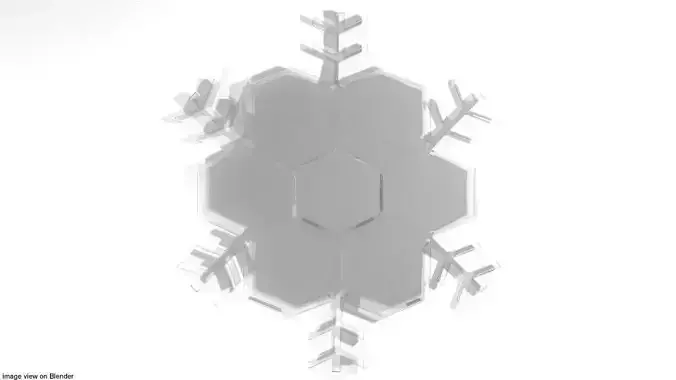 Snowflake - Type 5