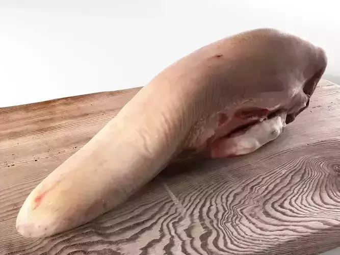 Meat 11 3D model
