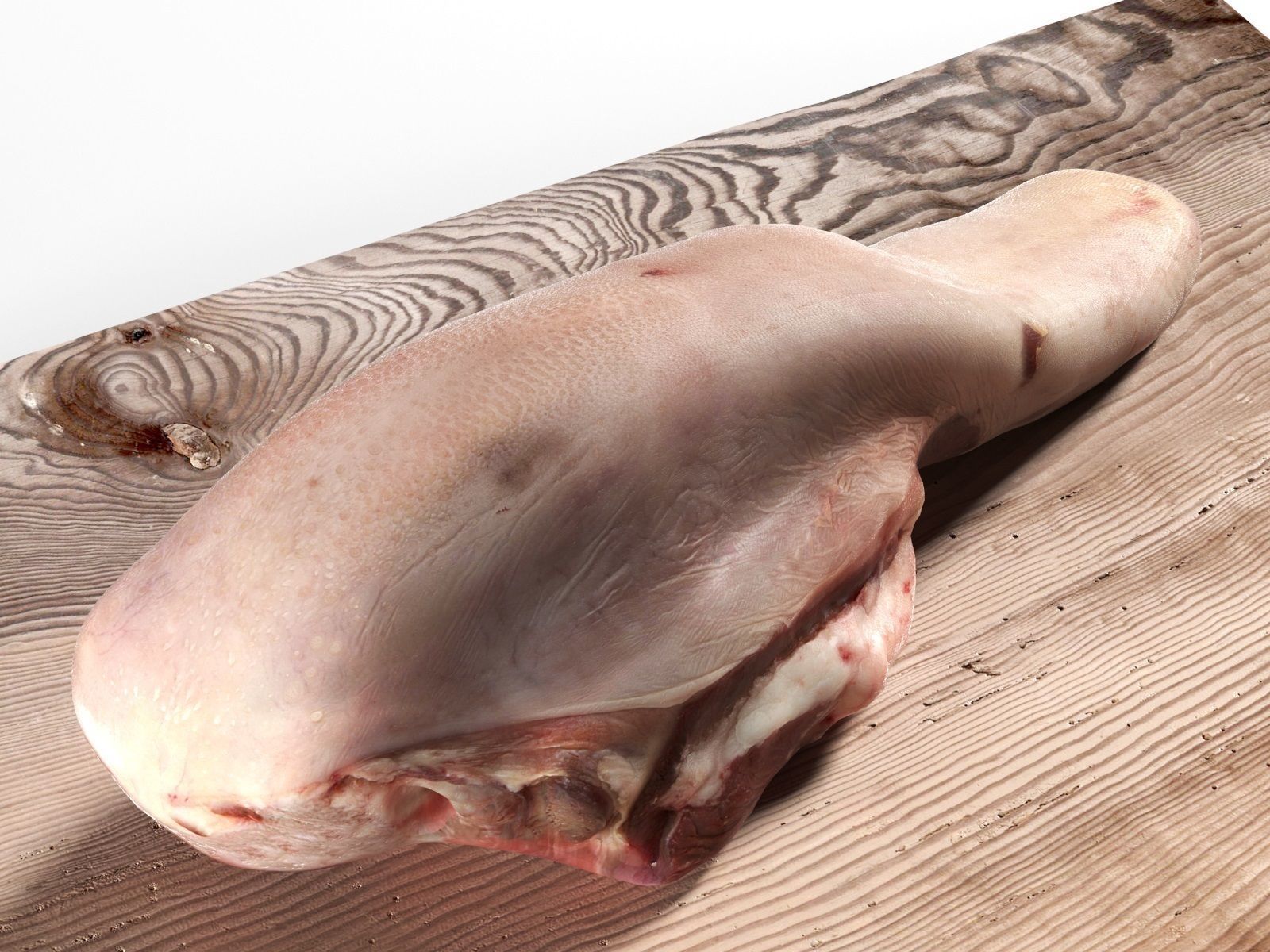 Meat 11 3D model_1