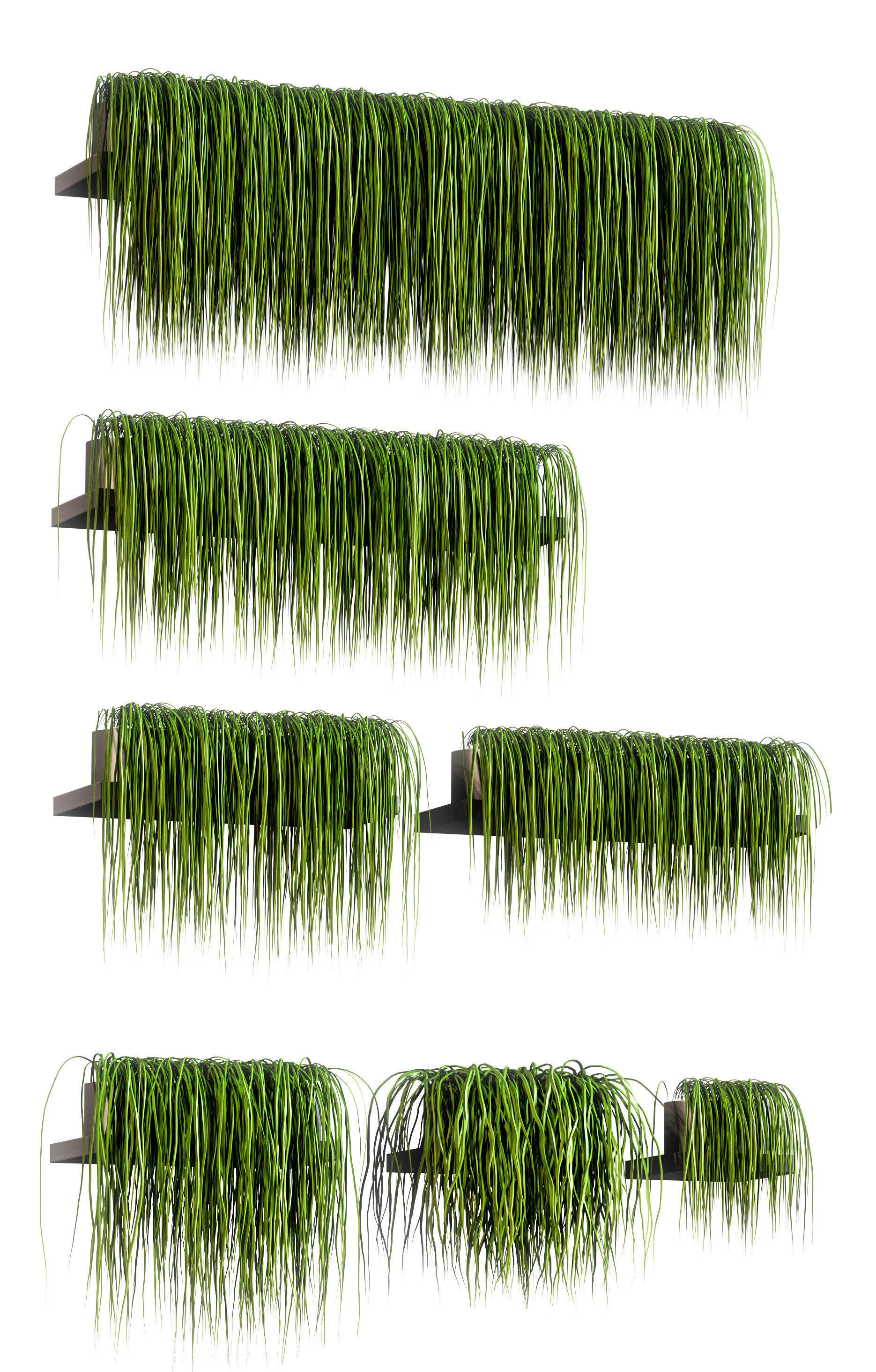 Set of 13 grass patterns on potted shelves 3D model_1