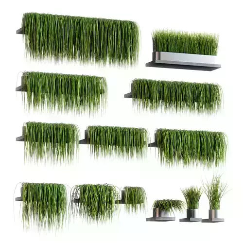 Set of 13 grass patterns on potted shelves