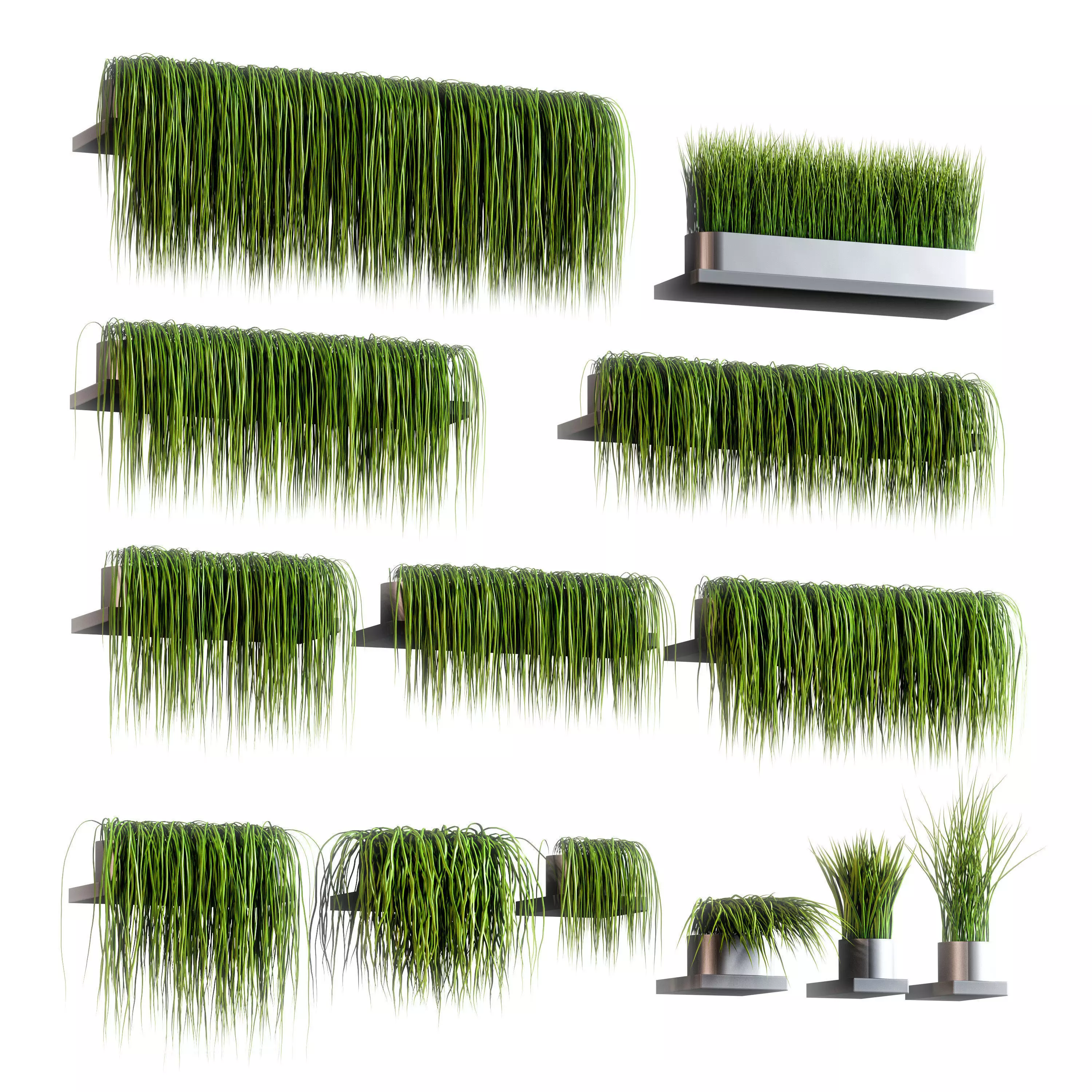 Set of 13 grass patterns on potted shelves 3D model_0