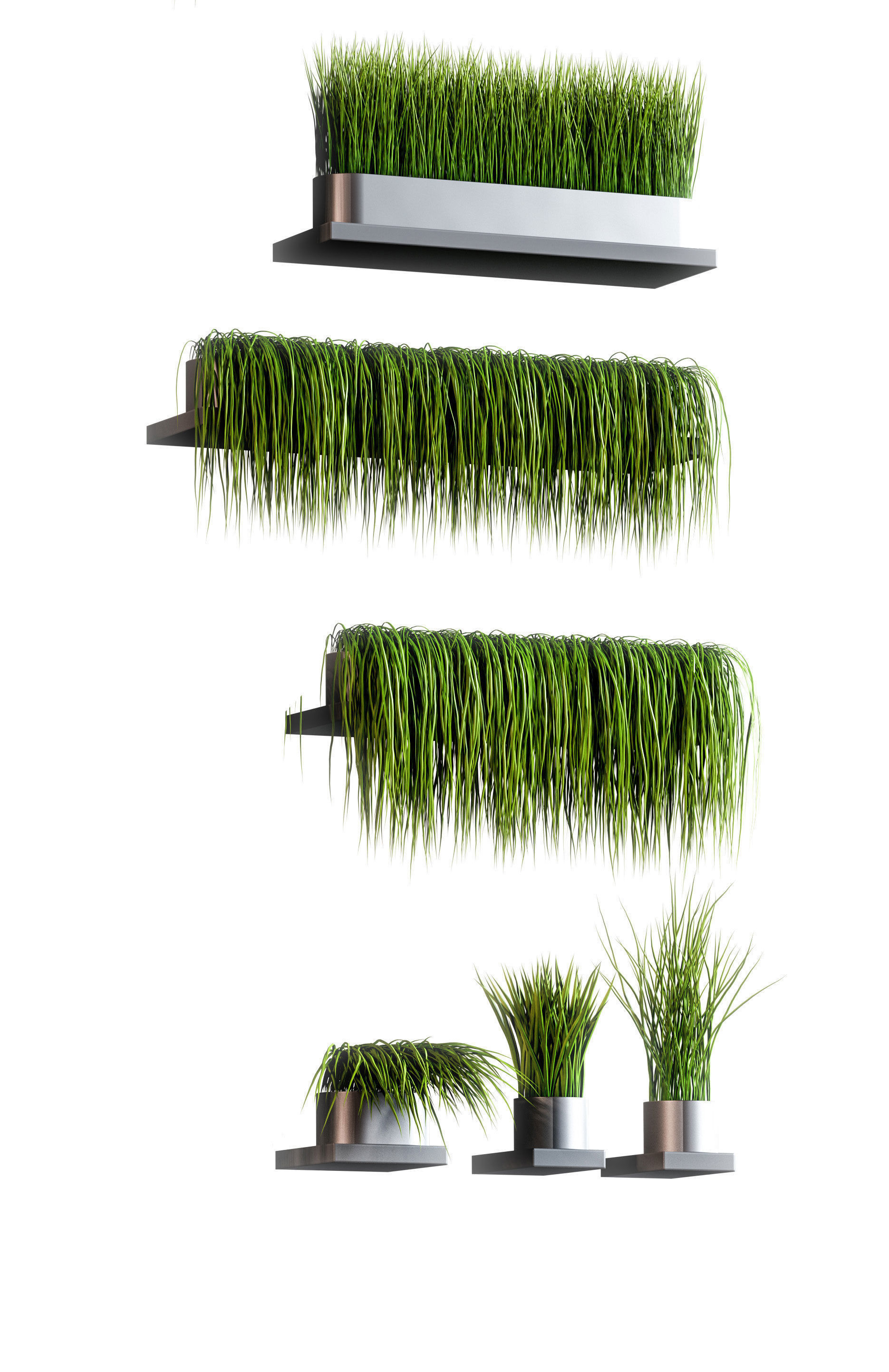Set of 13 grass patterns on potted shelves 3D model_3