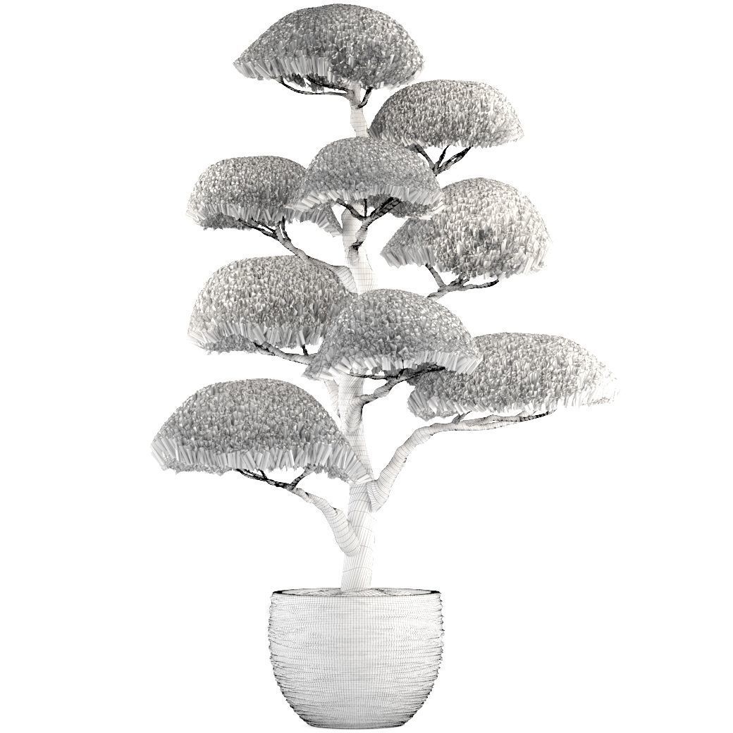 bonsai tree 3D model_7