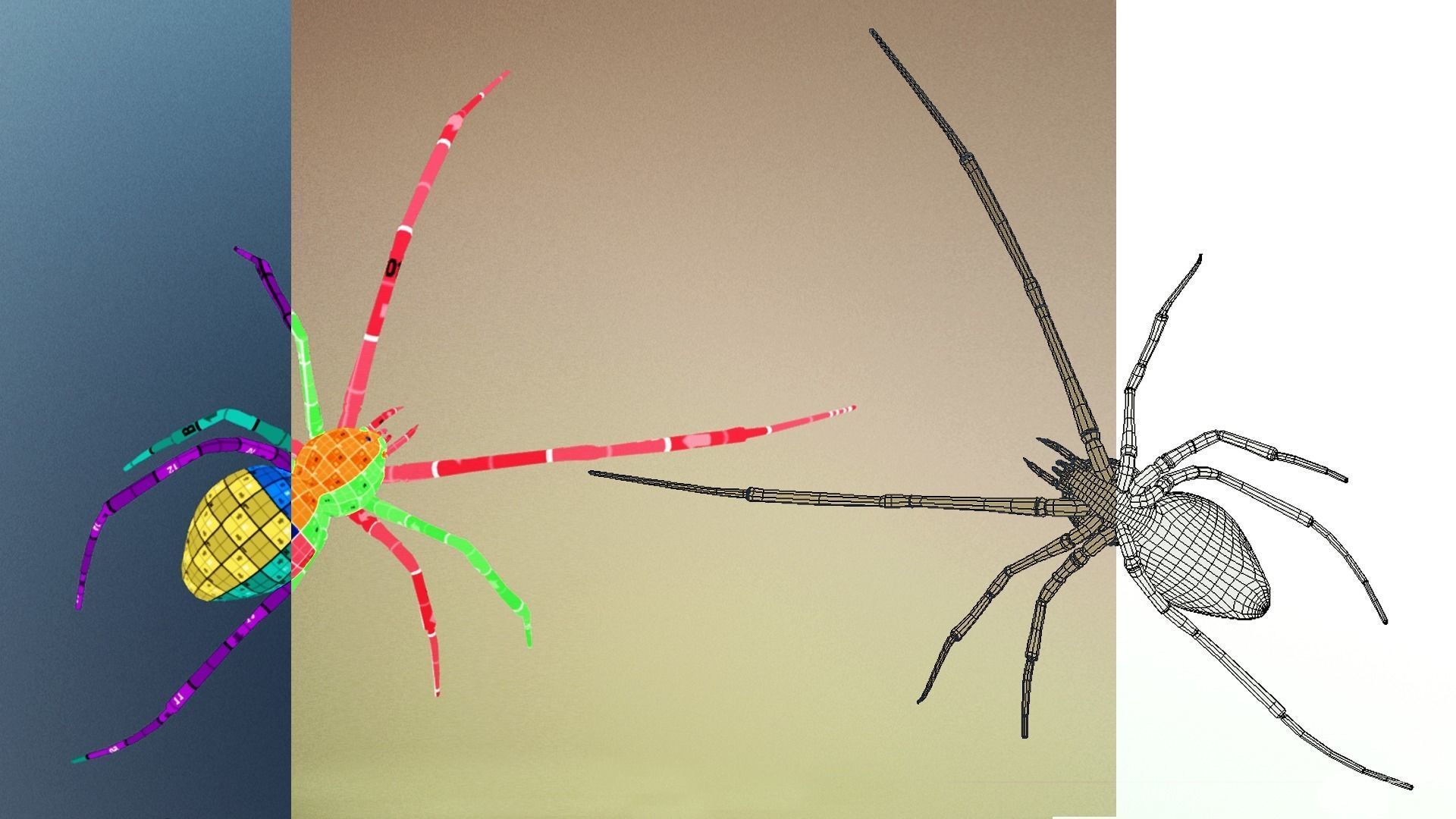 Black Widow  3D model_2