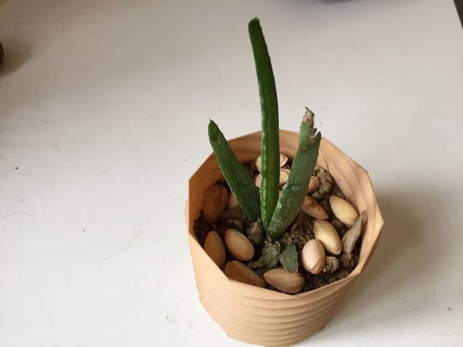 Colour Full planter 3D print model
